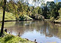 Swan Pond, photo: Veronika Freudling Link to the Swan Pond